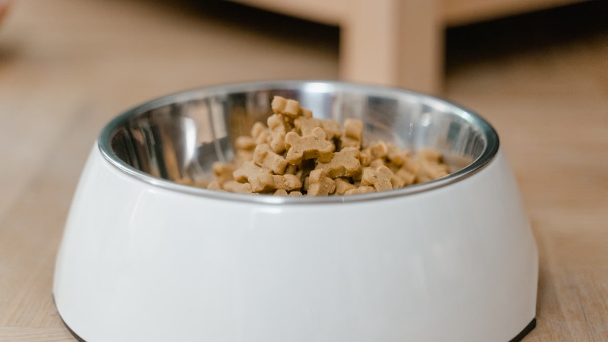 A stainless steel dog bowl filled with dry dog treats on a wooden floor.